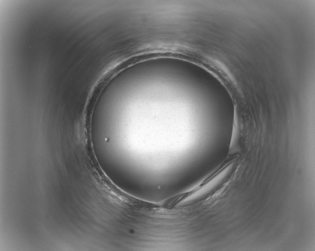 X0000075821172200609291403