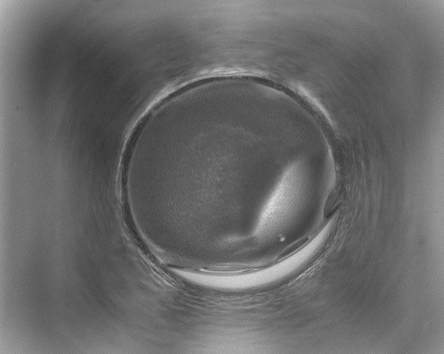 X0000075821173200609291403