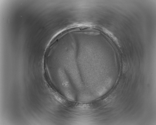 X0000075821174200609291403