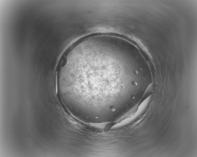 X0000075821175200609291403