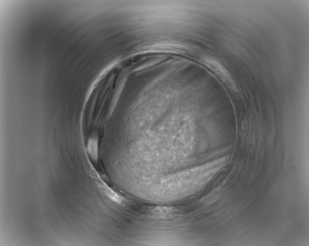 X0000075821180200609291403