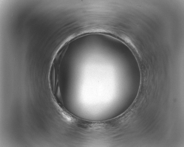 X0000075821181200609291403