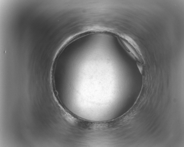 X0000075821183200609291403