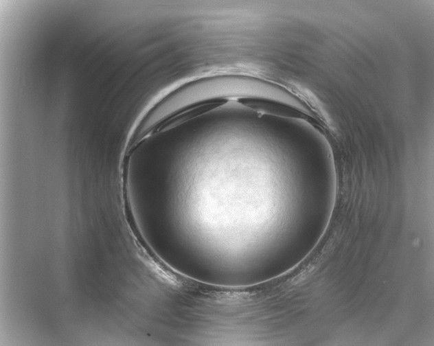 X0000075821184200609291403