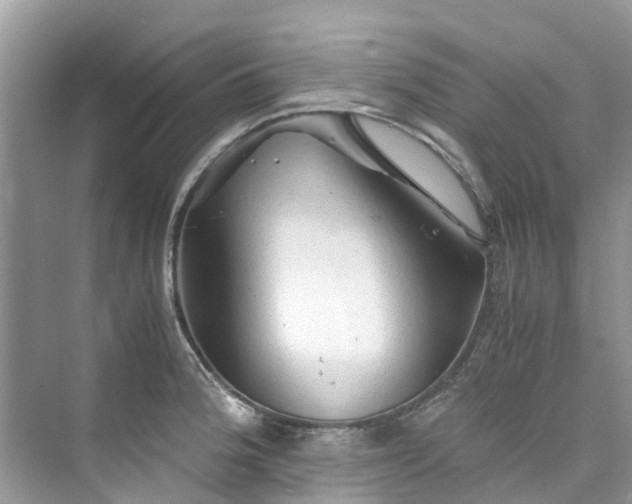 X0000075821188200609291403