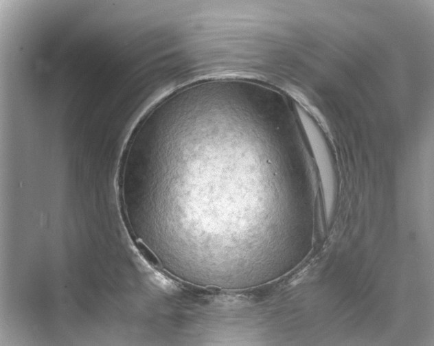 X0000075821189200609291403