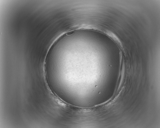 X0000075821190200609291403