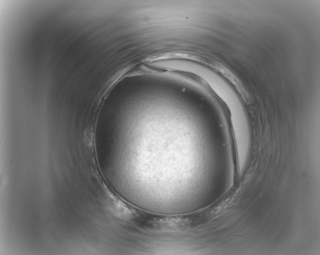 X0000075821193200609291403