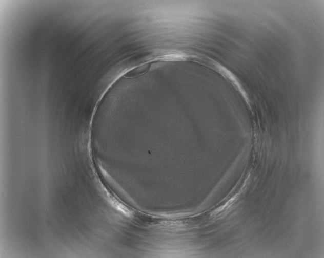 X0000075821194200609291403