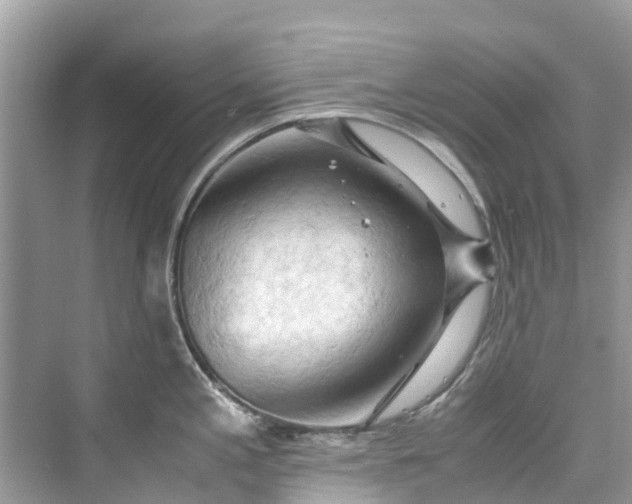 X0000075821197200609291403