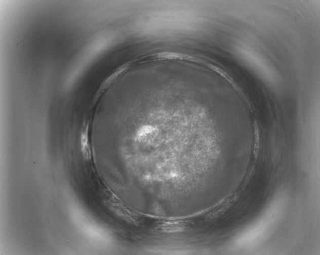 X0000075821198200609291403