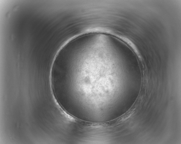 X0000075821199200609291403