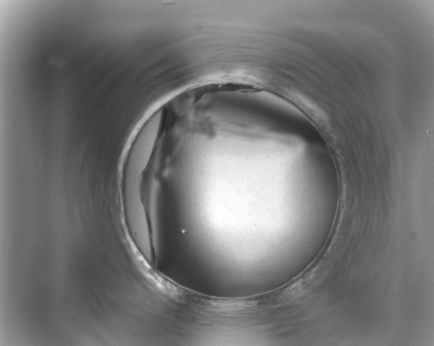 X0000075821200200609291403