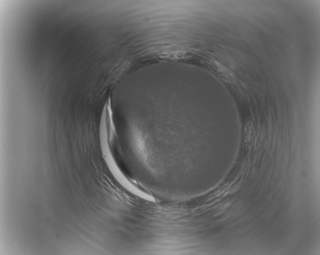 X0000075821202200609291402