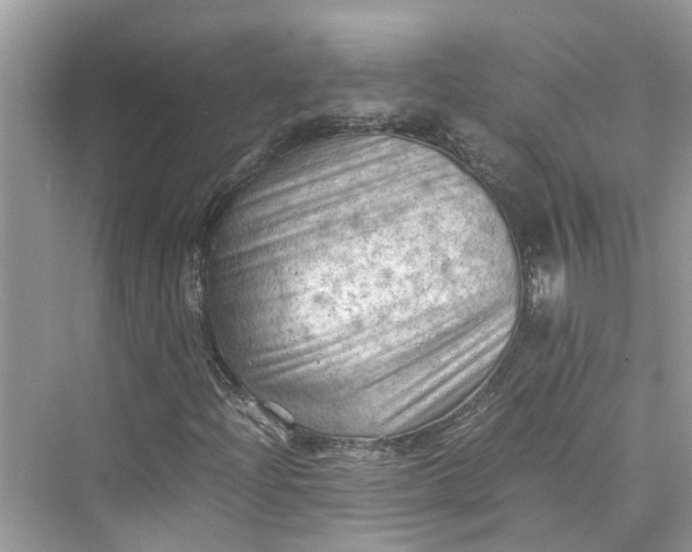 X0000075821204200609291402