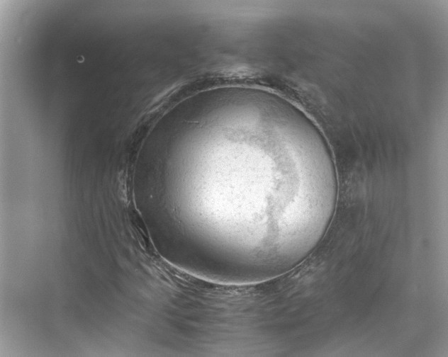 X0000075821205200609291402