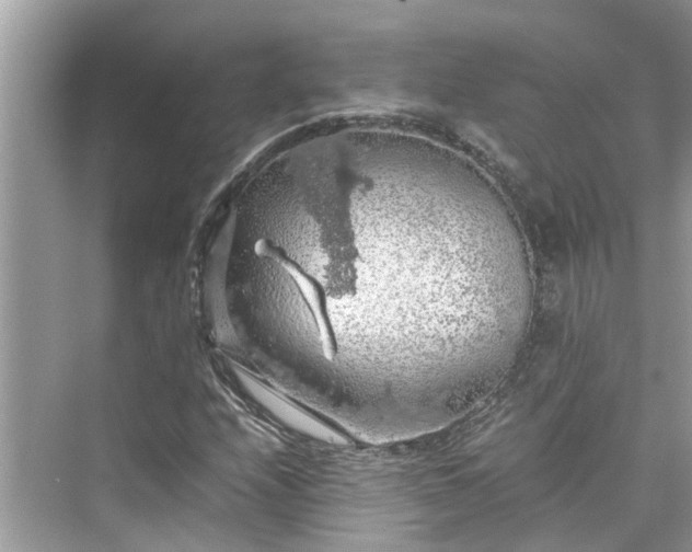 X0000075821208200609291402