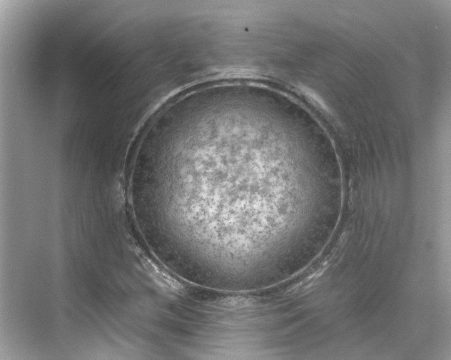 X0000075821212200609291402