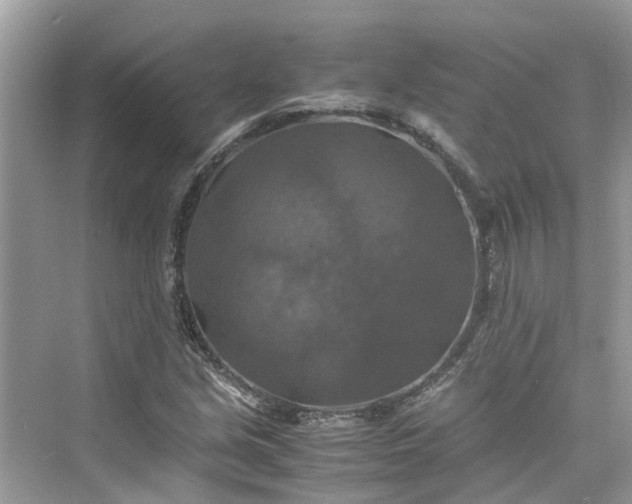 X0000075821213200609291402