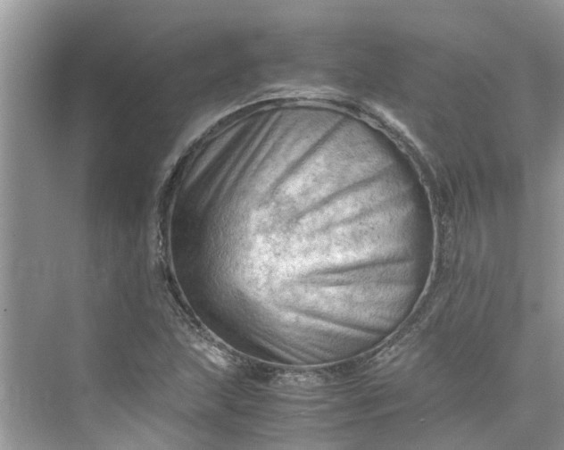 X0000075821215200609291402