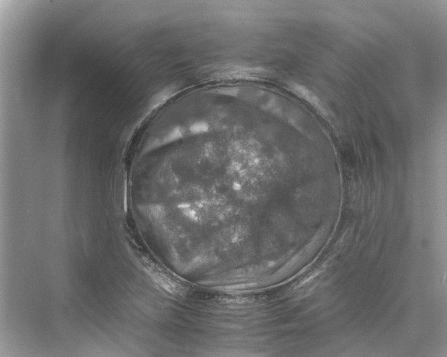 X0000075821219200609291402