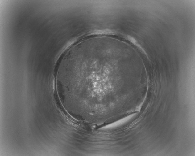 X0000075821221200609291402