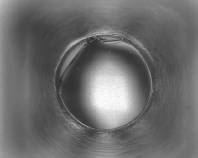 X0000075821222200609291402