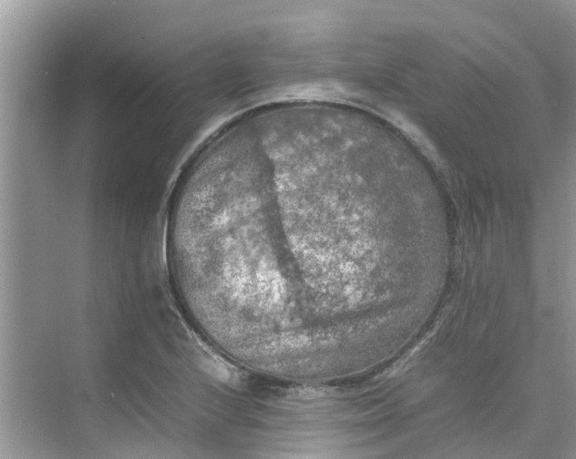 X0000075821224200609291402