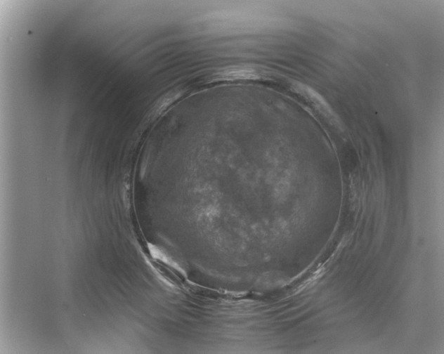 X0000075821225200609291402