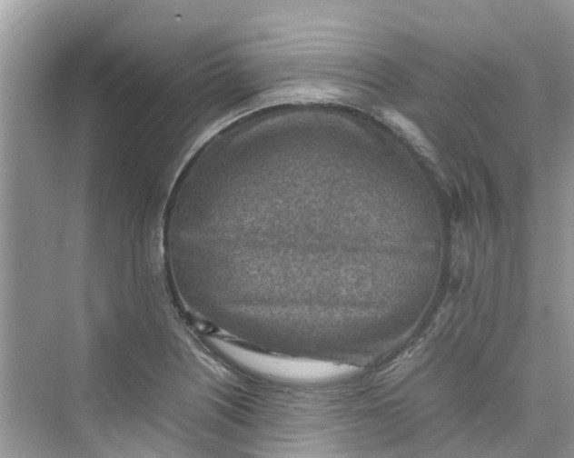 X0000075821226200609291402