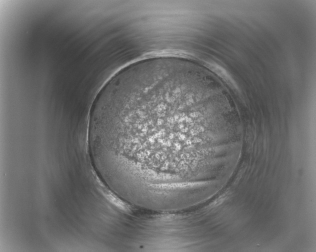 X0000075821228200609291402