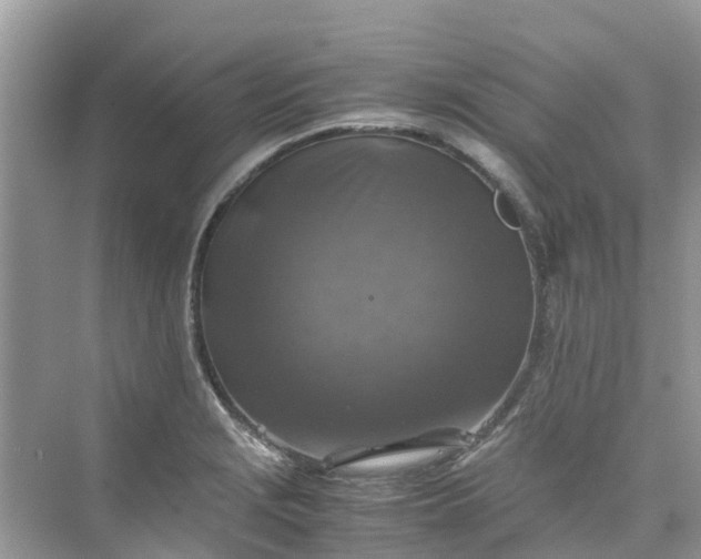 X0000075821229200609291402