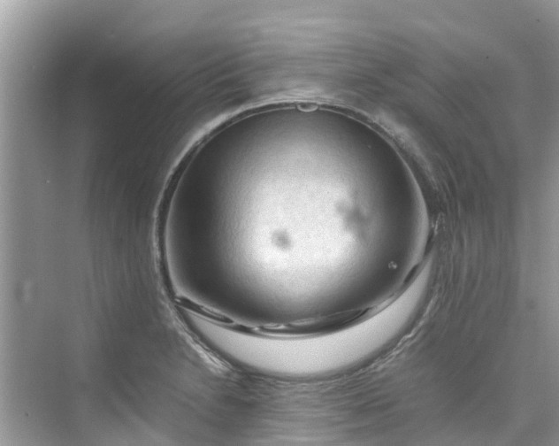 X0000075821230200609291402