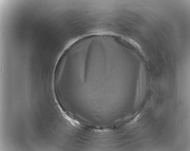 X0000075821231200609291402