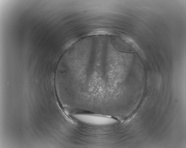 X0000075821233200609291402