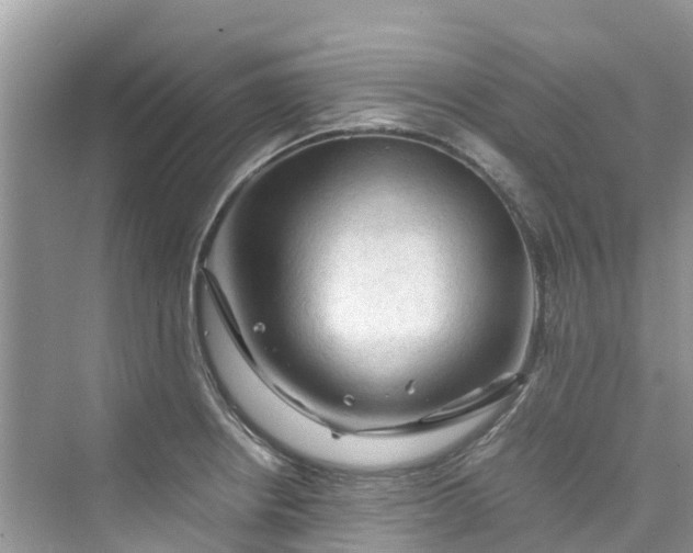 X0000075821234200609291402