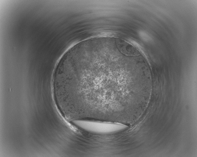 X0000075821235200609291402