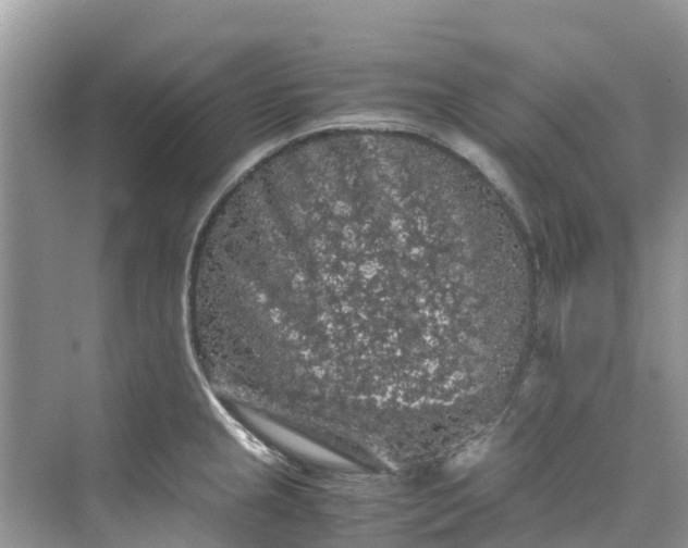 X0000075821237200609291402