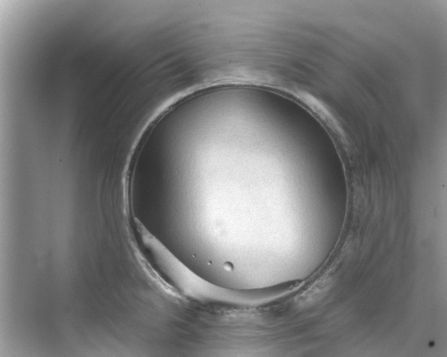 X0000075821238200609291402