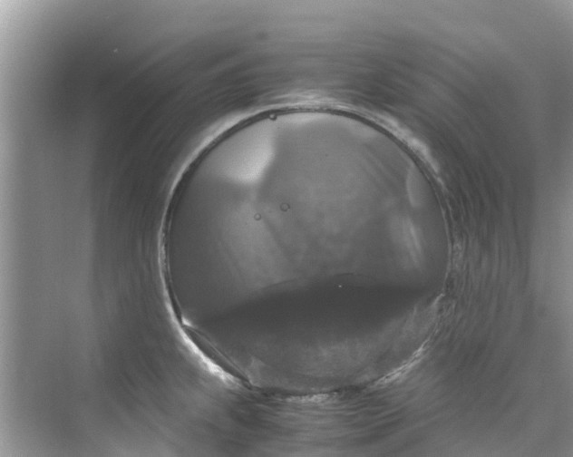 X0000075821239200609291402