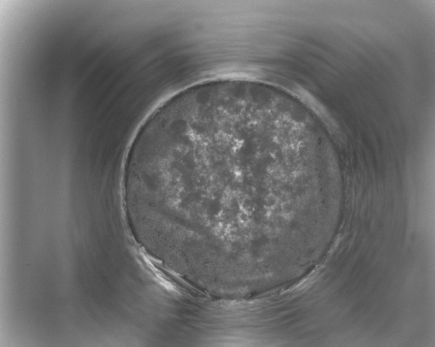 X0000075821240200609291402