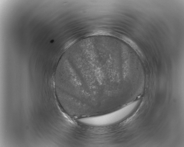 X0000075821241200609291403