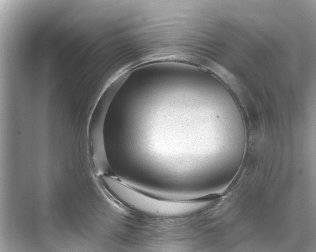 X0000075821242200609291403