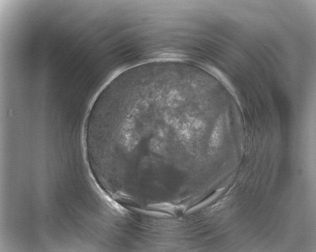 X0000075821243200609291403