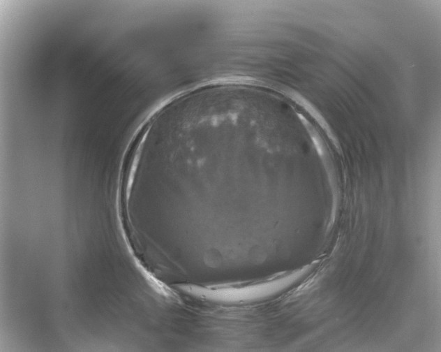 X0000075821245200609291403