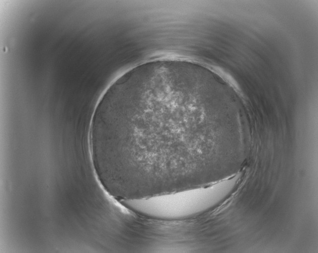 X0000075821247200609291403