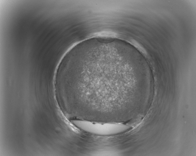 X0000075821248200609291403