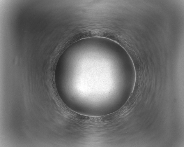 X0000075821249200609291402