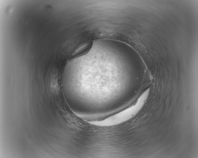 X0000075821250200609291402