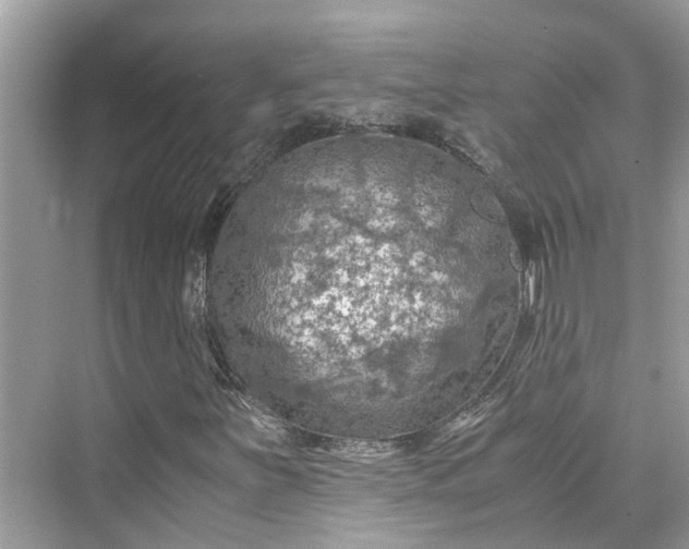 X0000075821251200609291402